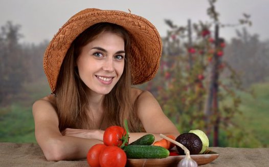 养阴降逆治反胃(肠粘连)案