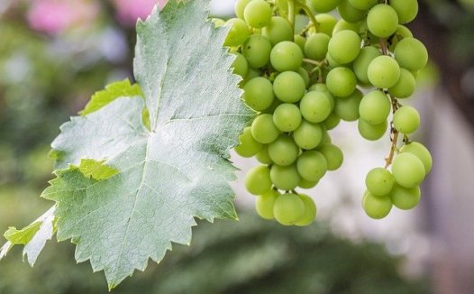 扭转截断重祛邪，先证而治勿因循