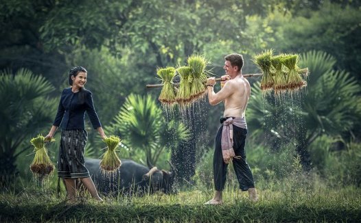 高血压的艾灸疗法