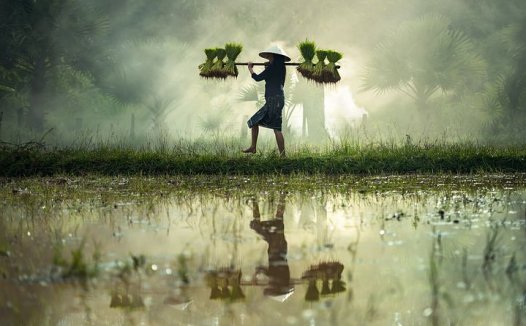 病态窦房结综合征案