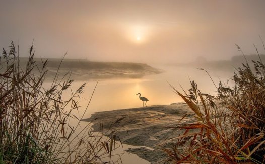 名老中医周文泉经验方