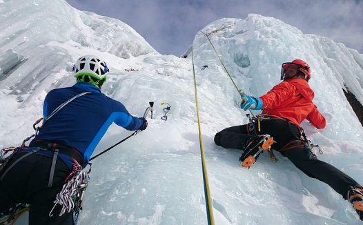 红薯发芽了还能吃吗?