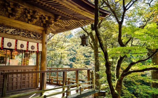 孕妇能吃红枣吗?