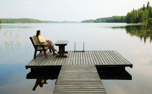 宣泄郁热透表邪，伤寒热病重豆豉