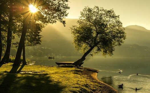 风寒湿热痰瘀阻，治痹五法可斡旋