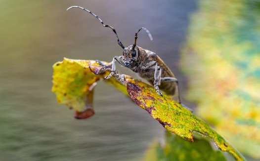 清化湿热，和胃泄浊；益气养阴，慎用刚燥