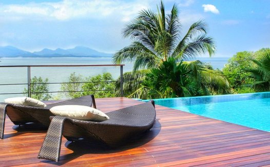 抗癌蔬菜排座次