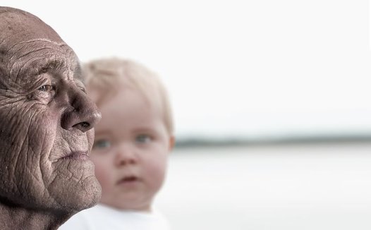 枇杷叶在防治癌病上的妙用