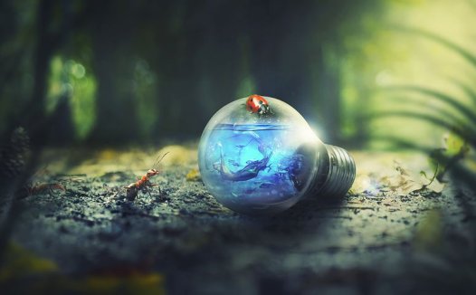 祖传秘方治血友病数例很有效验