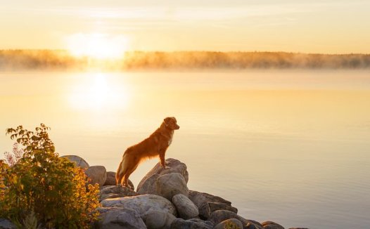 我以本方贴脐治婴儿秋冬季腹泻效果特别好
