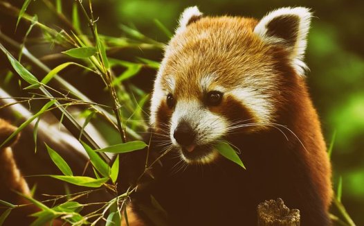 久病湿疹,扶土以调升降;血中燥热,养血而慎辛温