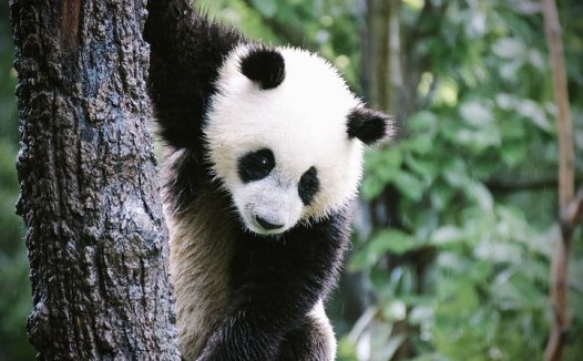 坚持手脚穴位按摩将快速起到减肥效果