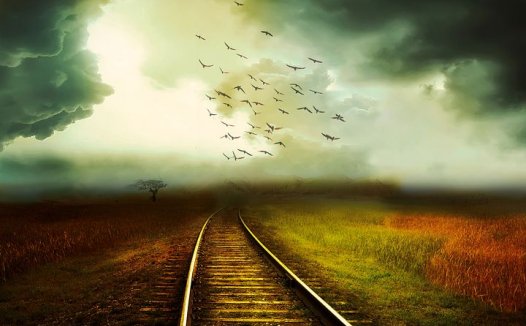 耳穴贴压治声带小结案