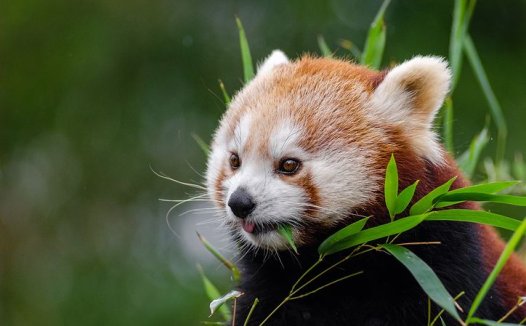 关于无创痛“针灸”问题