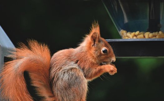 我用本条方敷足治好张成富家小男孩的流诞症