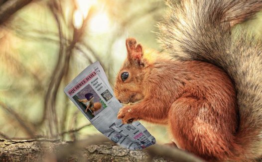 祖传十代秘方治腮漏多例均半月即愈