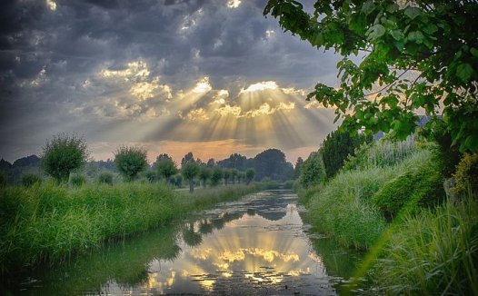 加味滋肾饮治尿路结石
