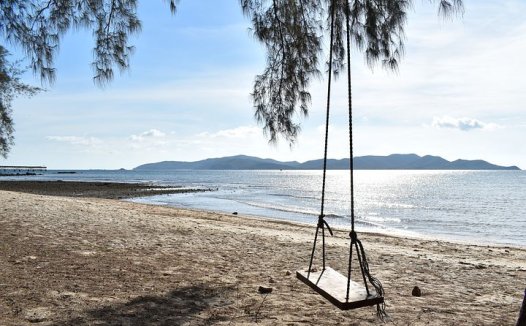 绒毛膜癌的食物疗法