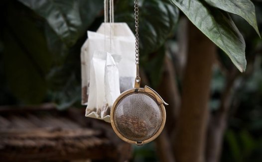 阳虚阴乘温阳宣痹