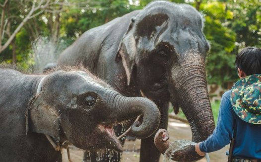 湿阻膜腠盗汗案