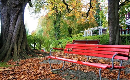 降君相之火，澄淋浊之源