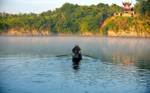 淡菜菜饭的营养价值