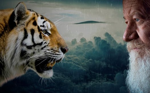 辨析心痹病机,详明证治大法