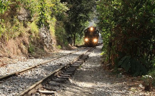 蒜苔的营养价值