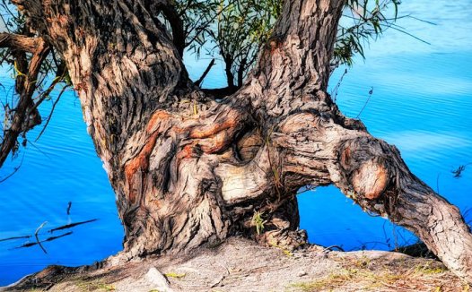 治阿米巴病效方荟萃