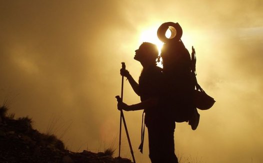 治蛔虫病效方荟萃