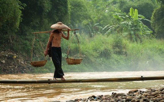 治绦虫病效方荟萃