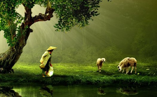 中风五证,辨治举要