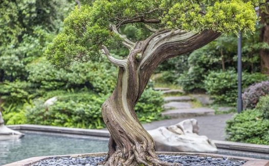 名老中医颜德馨经验方