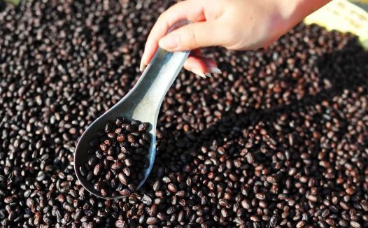 食欲不振的穴位按摩疗法