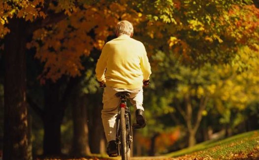 菠菜粥的营养价值