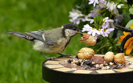 益气化瘀愈痛痹案