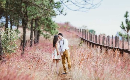 凉血饮治小儿过敏性紫癜32例全部治愈