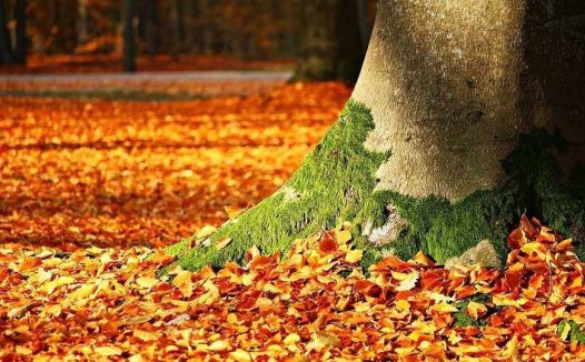 脑血管意外的辨证论治研究