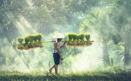 治痈1次即愈的少林千锤膏