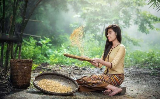 通因通用，大黄止泻