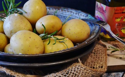 痢疾虚实寒热辨