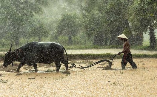 膝关节痛的穴位按摩疗法