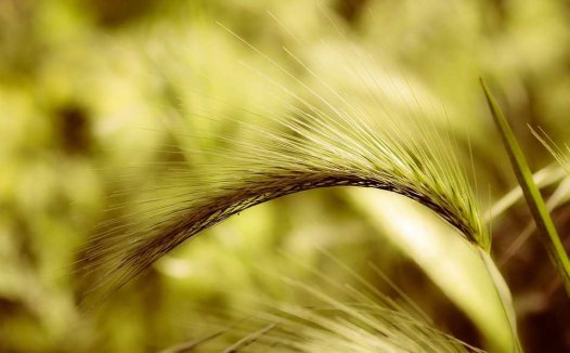 扁桃体炎的穴位按摩疗法