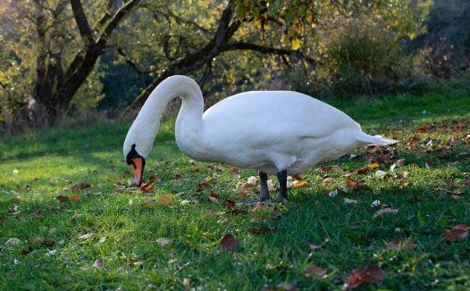 牛皮癣的穴位按摩疗法