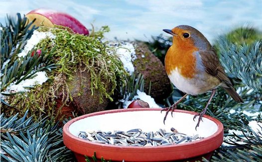 温热病辨治新论