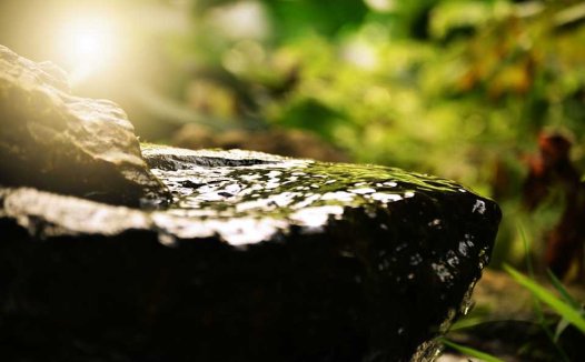 血糖高能吃红薯吗?