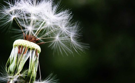 全国名老中医治汗证（盗汗、自汗）秘方