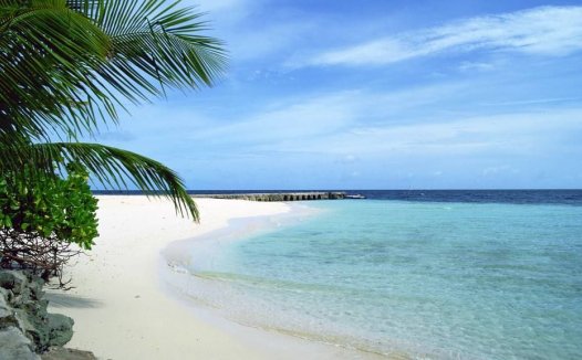 西瓜皮的功效与作用