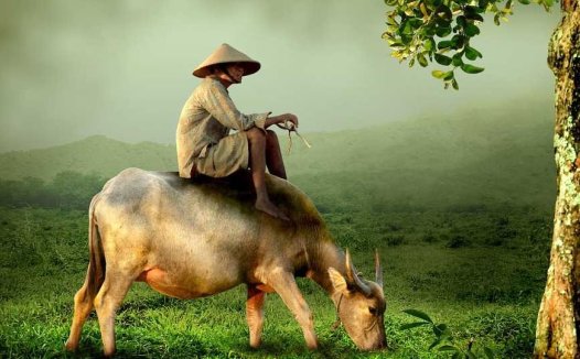 黄煌：我临床最常用的16首经方