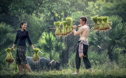 花椒的功效与作用及禁忌